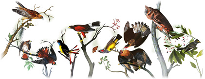 Geburtstag von John James Audubon