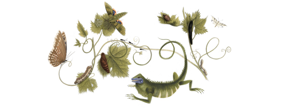 Google Doodle: Maria Sibylla Merian